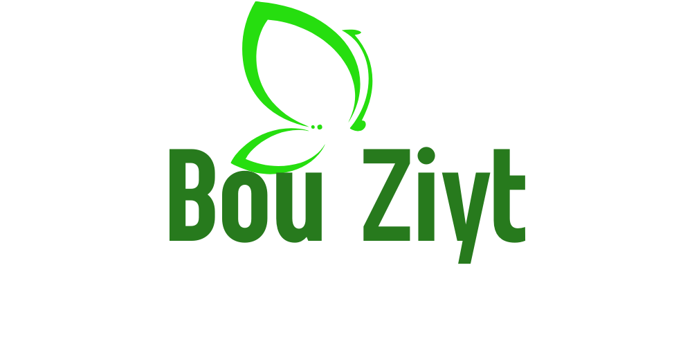 bou ziyt (500 x 1000 بيكسل) (1000 x 500 بيكسل)